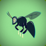 Black Solider Fly Inseco